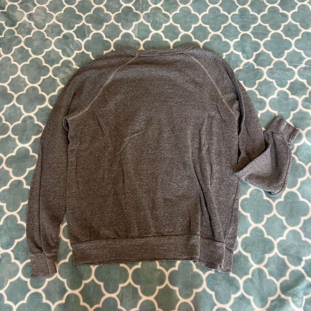 Glossier Gray Sweatshirt - Picture 4 of 4